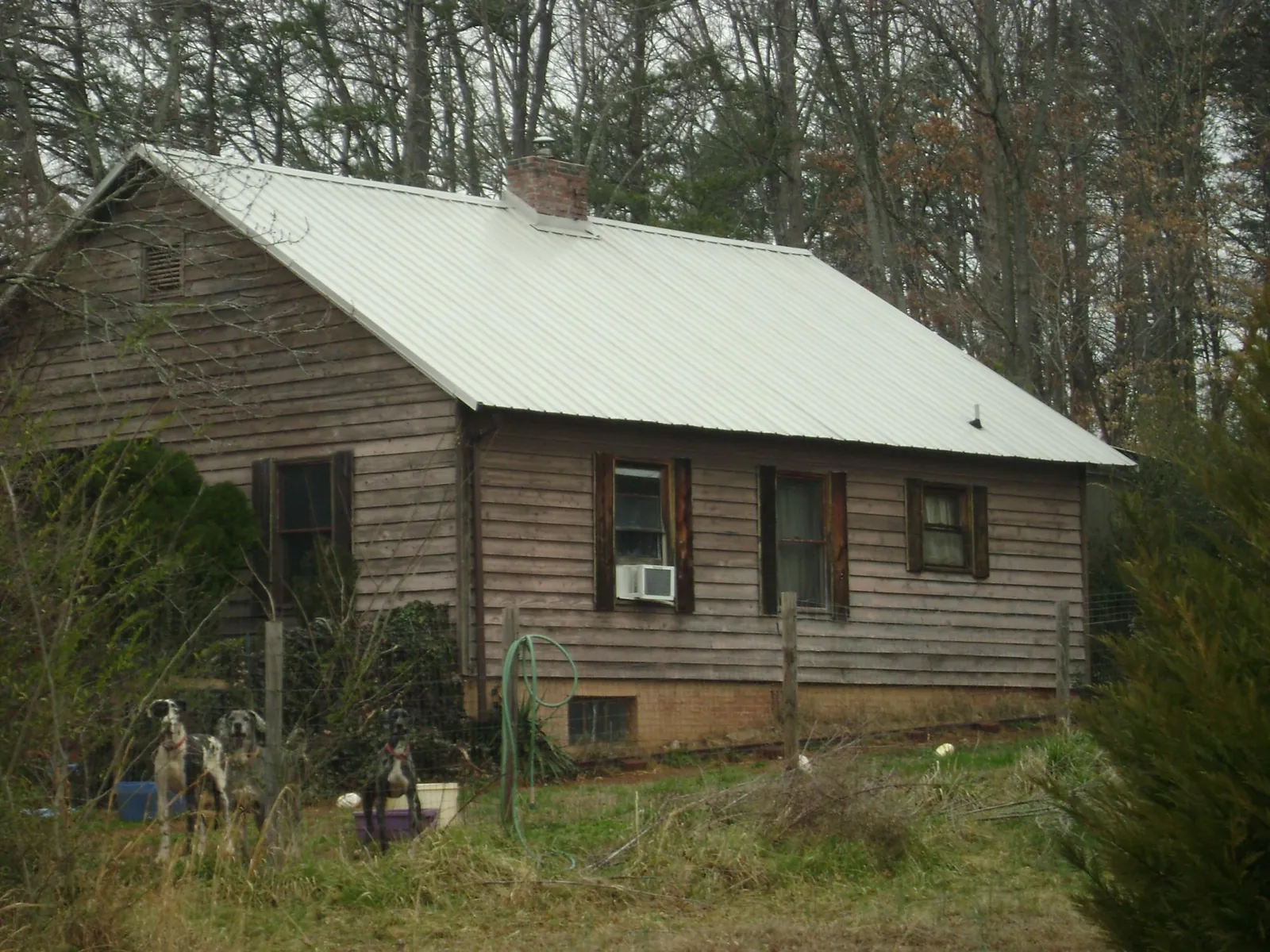 White metal roof on an old wood sided farmhouse, from a Asphalt Shingle Roof Repair job in Starke